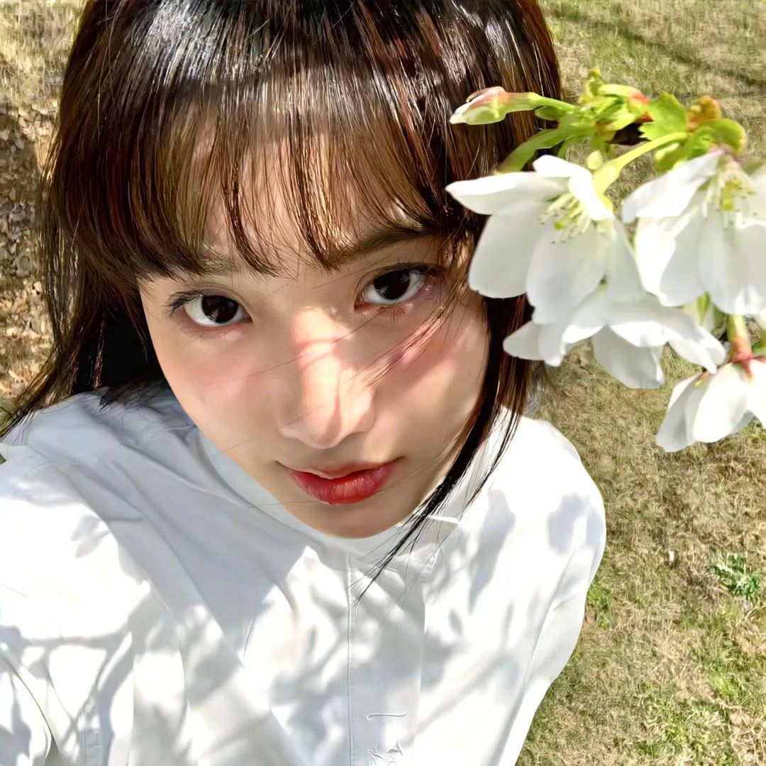 伊菲吉妮娅