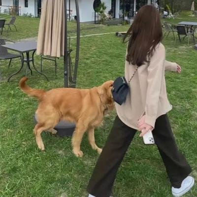 邱吉尔
